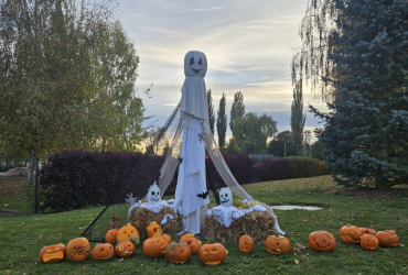 Sadovské dýňobraní