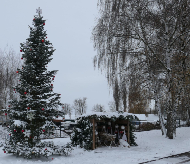 Vánoční trhy Sadová