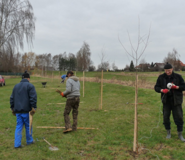 Sázení stromků 31. března 2012