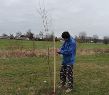 Sázení stromků 31. března 2012