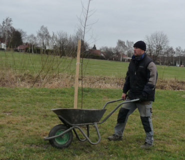 Sázení stromků 31. března 2012