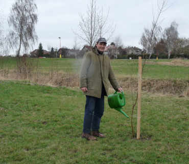 Sázení stromků 31. března 2012