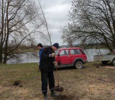 Sázení stromků 31. března 2012