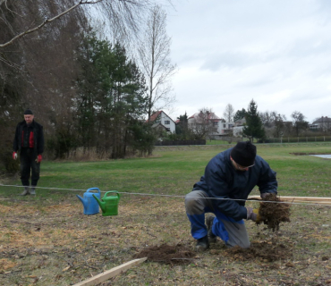Sázení stromků 31. března 2012
