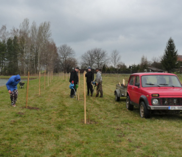 Sázení stromků 31. března 2012
