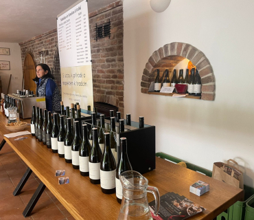 Otevřené sklepy v Zaječí