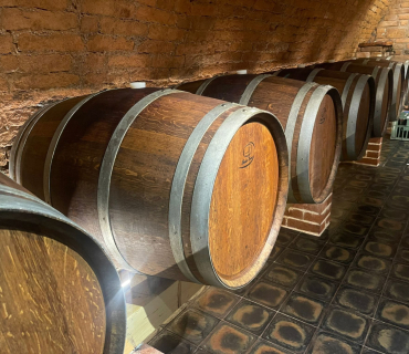 Otevřené sklepy v Zaječí