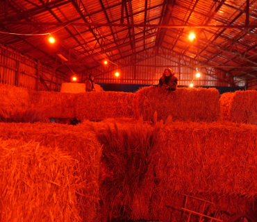 Čertovský průvod 3.prosince 2022