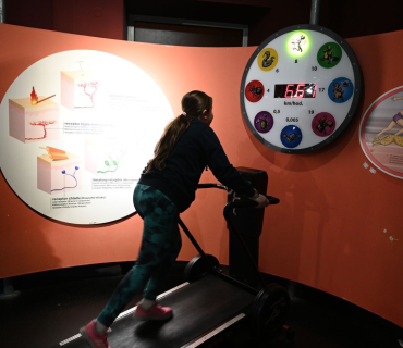 Výlet do IQLANDIE a IQPARKU