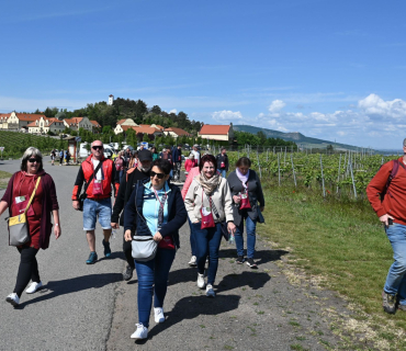 Výlet na Zaječské otevřené sklepy 24.května 2025
