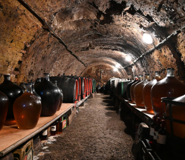 Výlet na Zaječské otevřené sklepy 24.května 2025