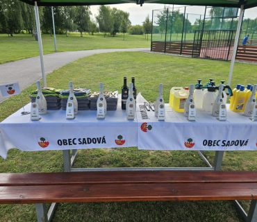 Nohejbalový turnaj obcí Mikroregionu Nechanicko