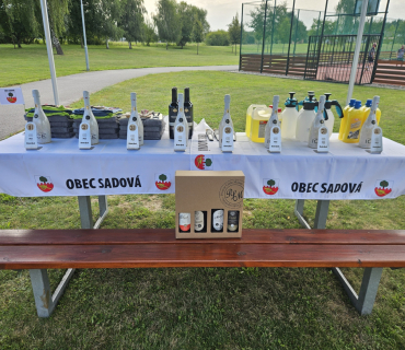 Nohejbalový turnaj obcí Mikroregionu Nechanicko