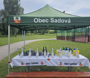 Nohejbalový turnaj obcí Mikroregionu Nechanicko