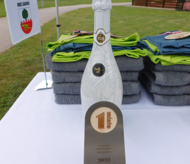 Nohejbalový turnaj obcí Mikroregionu Nechanicko