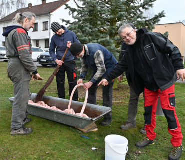 Zabíjačkové hody 21.března 2026