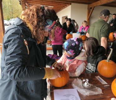 Sadovské dýňobraní