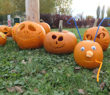 Sadovské dýňobraní