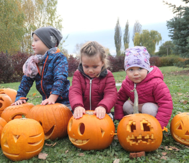 Sadovské dýňobraní