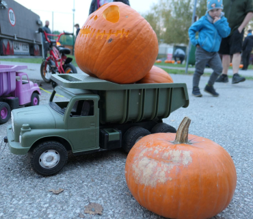 Sadovské dýňobraní