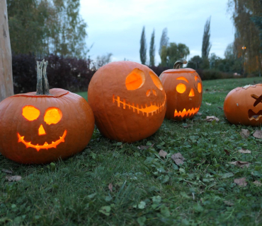 Sadovské dýňobraní