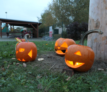 Sadovské dýňobraní