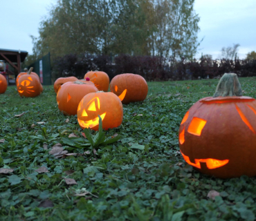 Sadovské dýňobraní