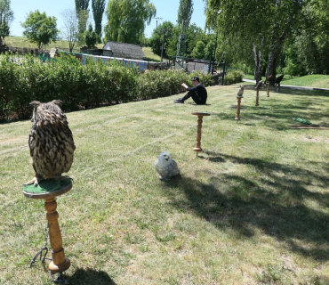 Dětský den Sadová 3.června 2023