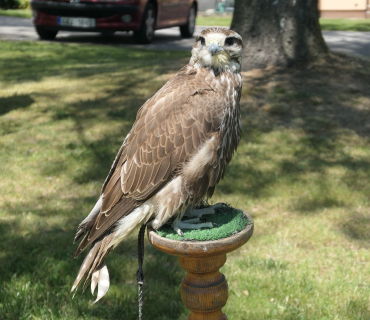 Dětský den Sadová 3.června 2023