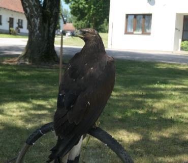 Dětský den Sadová 3.června 2023