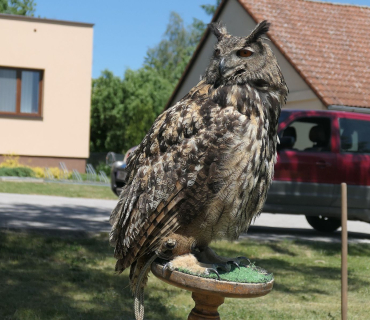 Dětský den Sadová 3.června 2023