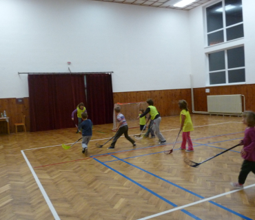 Florbal v Hněvčevsi 2014