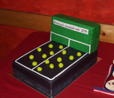 Tenisová liga 2014